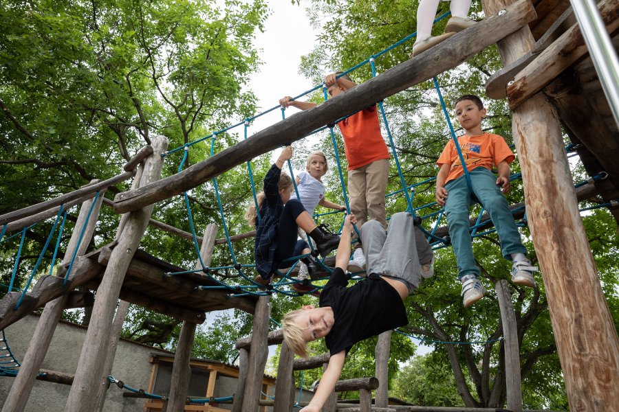 Kinder beim Klettern (Matthias Willi).jpg